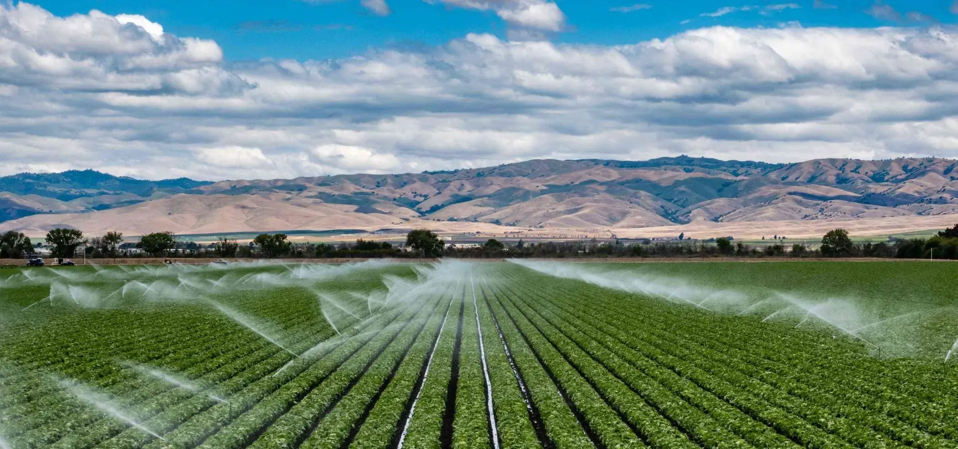 YBY Irrigation